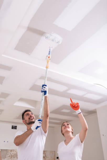 Biohazard Mold Removal in Rock Falls, IL