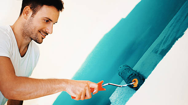Reliable Rock Falls, IL Mold Removal Solutions